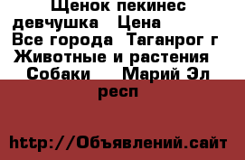 Щенок пекинес девчушка › Цена ­ 2 500 - Все города, Таганрог г. Животные и растения » Собаки   . Марий Эл респ.